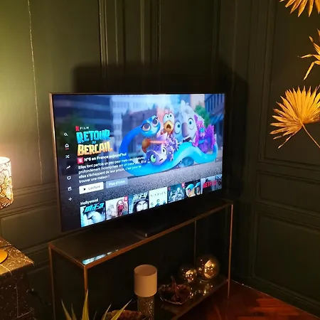 Vieille Stanislas * Nancy