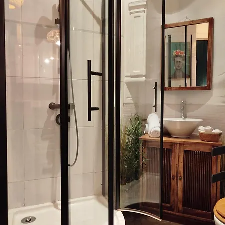 Apartment Vieille Stanislas *