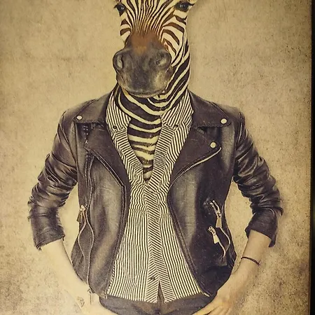 Vieille Stanislas Apartment Nancy