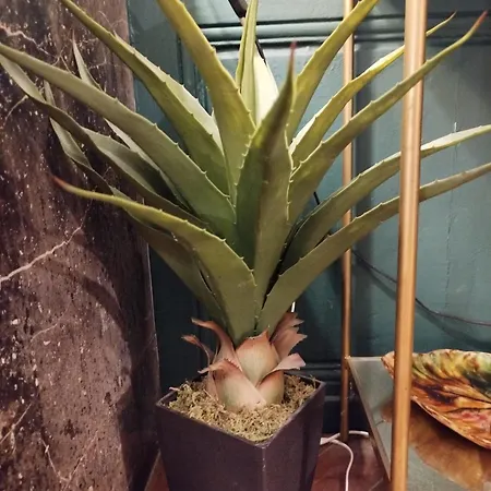 Apartment Vieille Stanislas