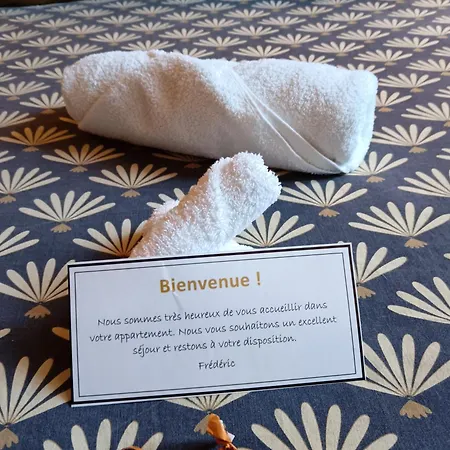 Apartment Vieille Stanislas Nancy