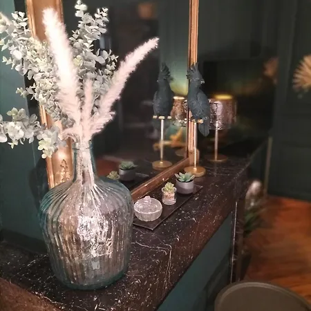 Apartment Vieille Stanislas *