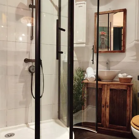 Vieille Stanislas Apartment Nancy