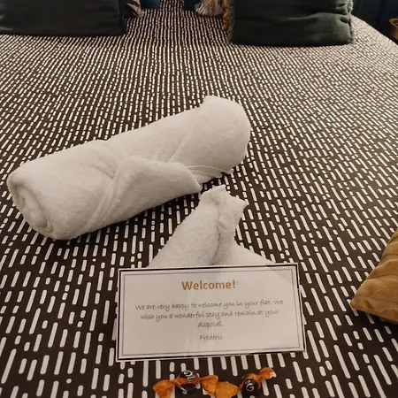 Apartmán Vieille Stanislas Nancy