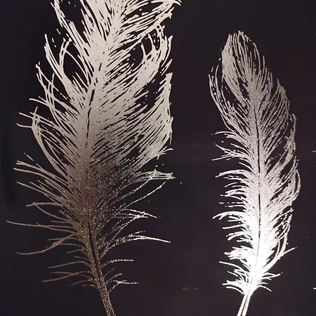 Vieille Stanislas * Nancy