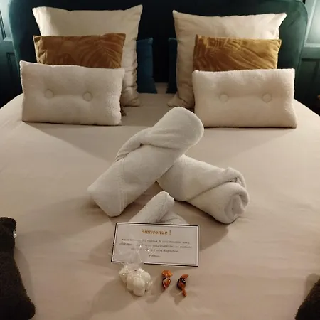 Vieille Stanislas Apartment Nancy