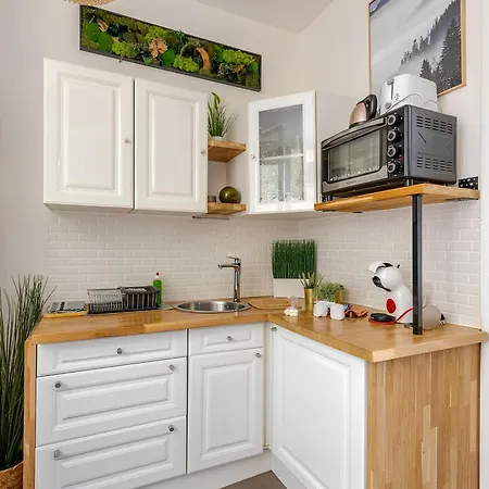 Apartamento Vieille Stanislas *