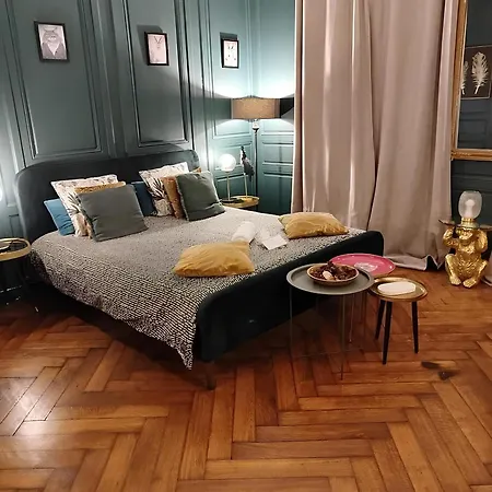 Vieille Stanislas Apartment Nancy