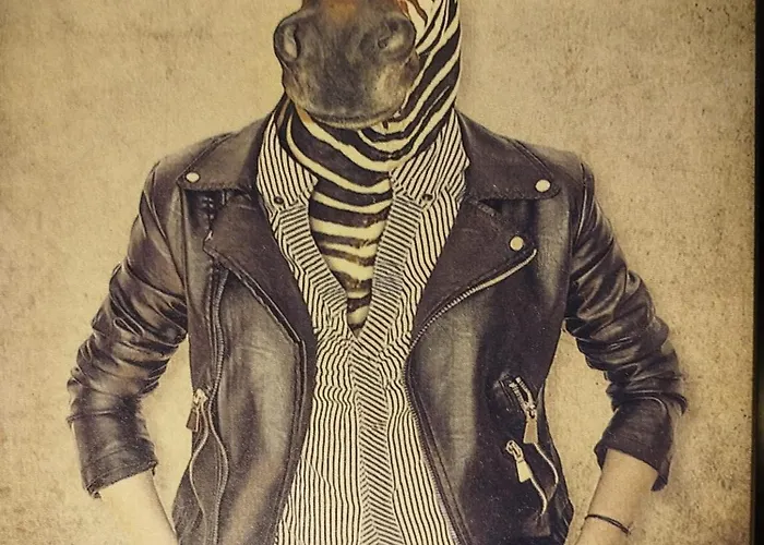 Vieille Stanislas Apartamento Nancy