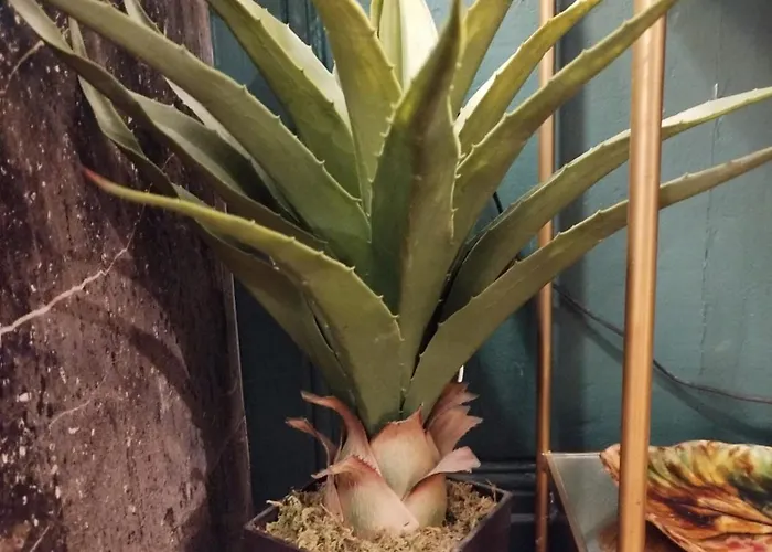 Apartamento Vieille Stanislas