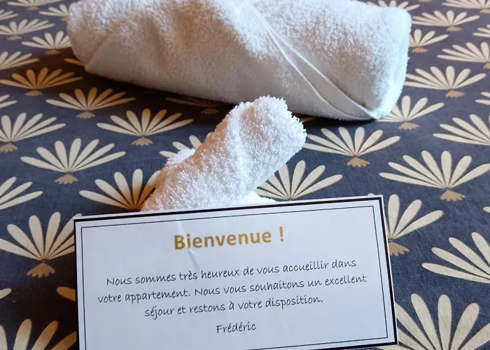 Apartment Vieille Stanislas Nancy