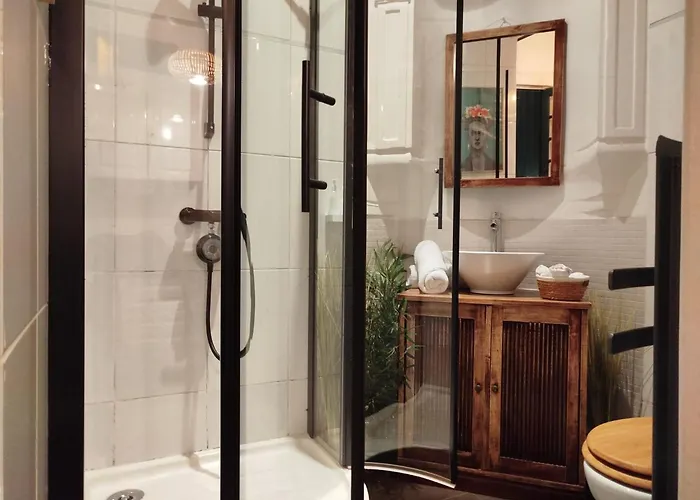 Vieille Stanislas Apartment Nancy