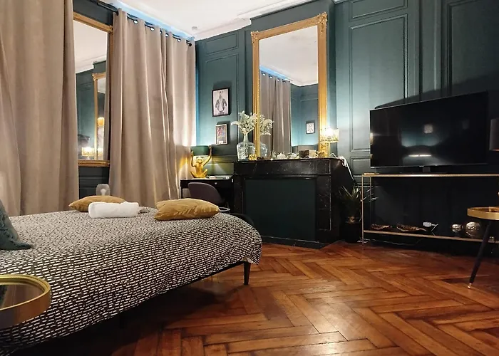 Vieille Stanislas Apartmán Nancy