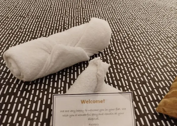 Apartment Vieille Stanislas Nancy