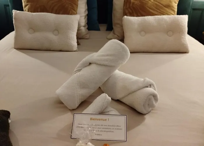 Vieille Stanislas Apartment Nancy