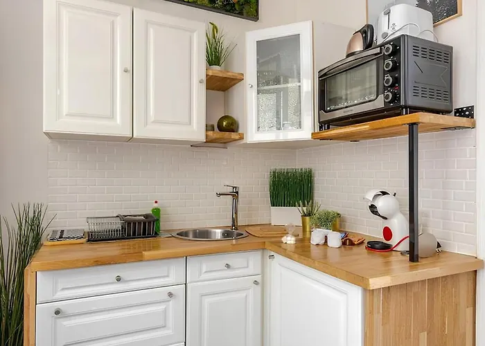 Apartamento Vieille Stanislas *