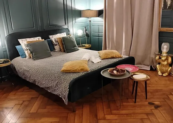 Vieille Stanislas Apartmán Nancy